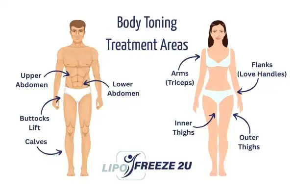 Graphic showing where you can have Body toning Treatment Sandbach on your body